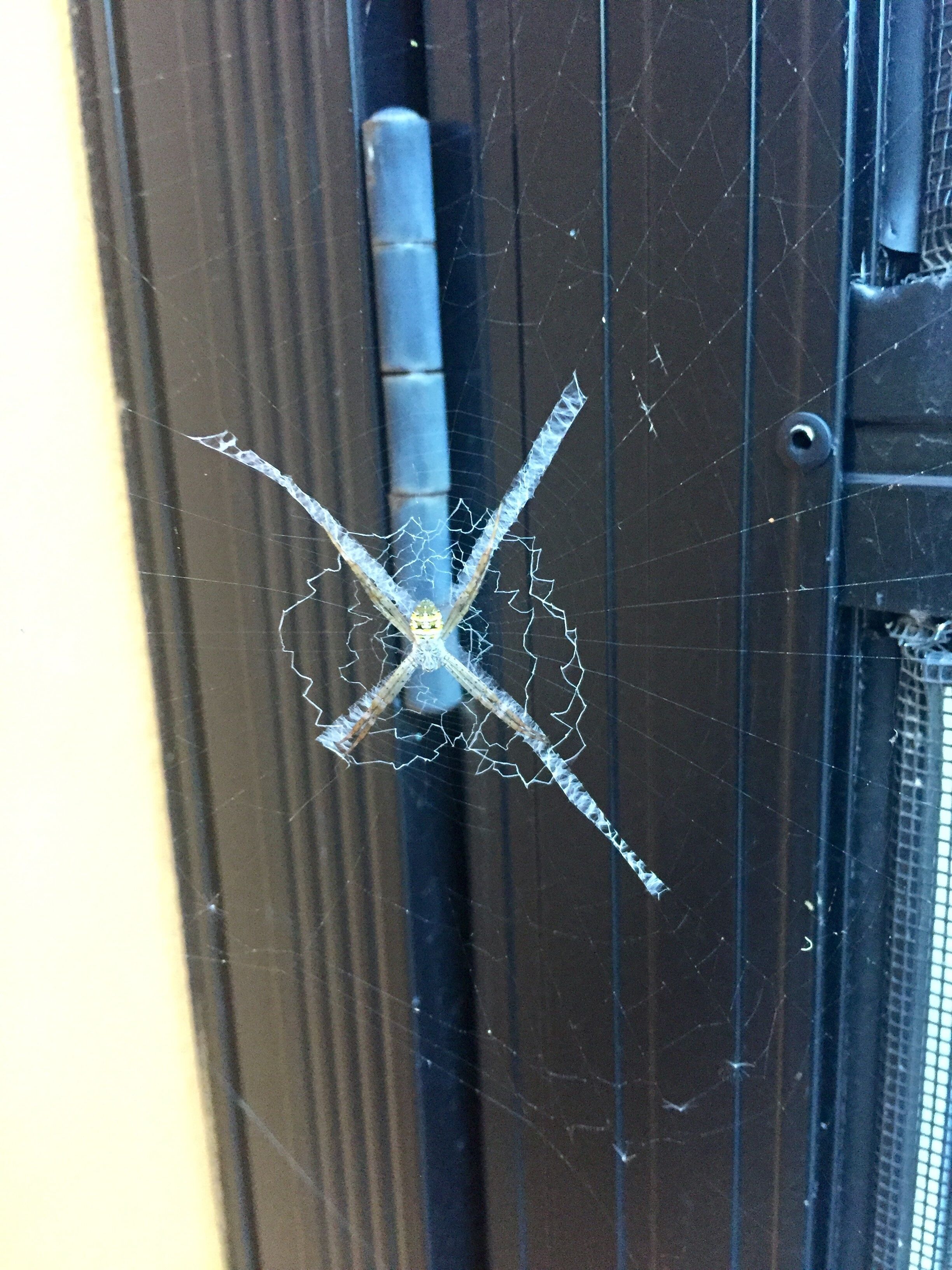 Island Container Bird House