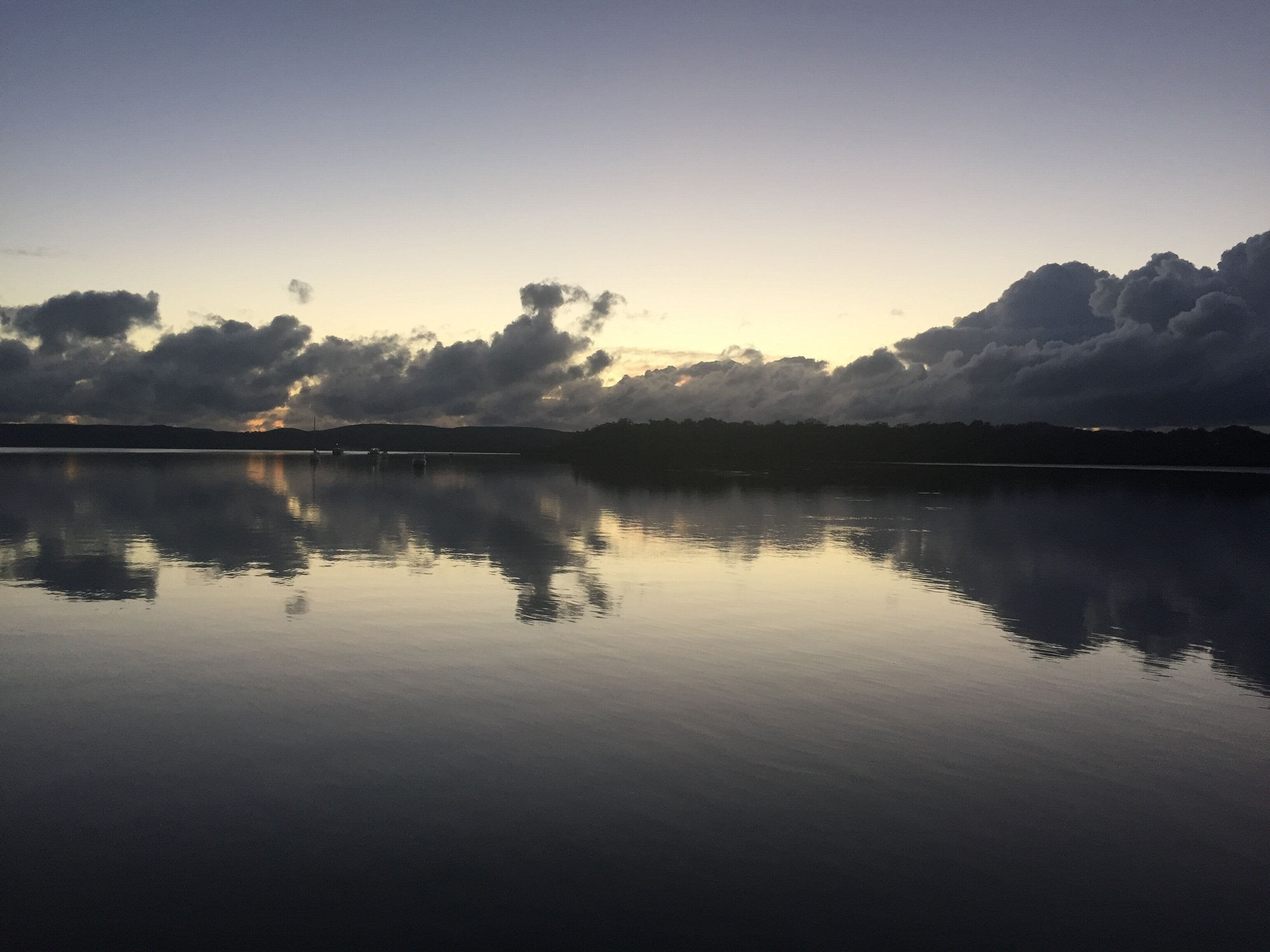 Island Container Bird House