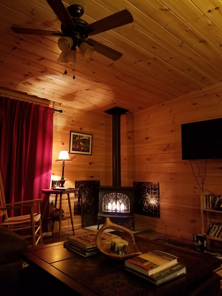 Grey's Getaway Cabin# 3 Finger lakes area, perfect season retreat! Dog friendly