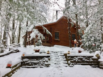 Quaint Private Log Cabin Mountain Top Retreat Topton 2020 Room