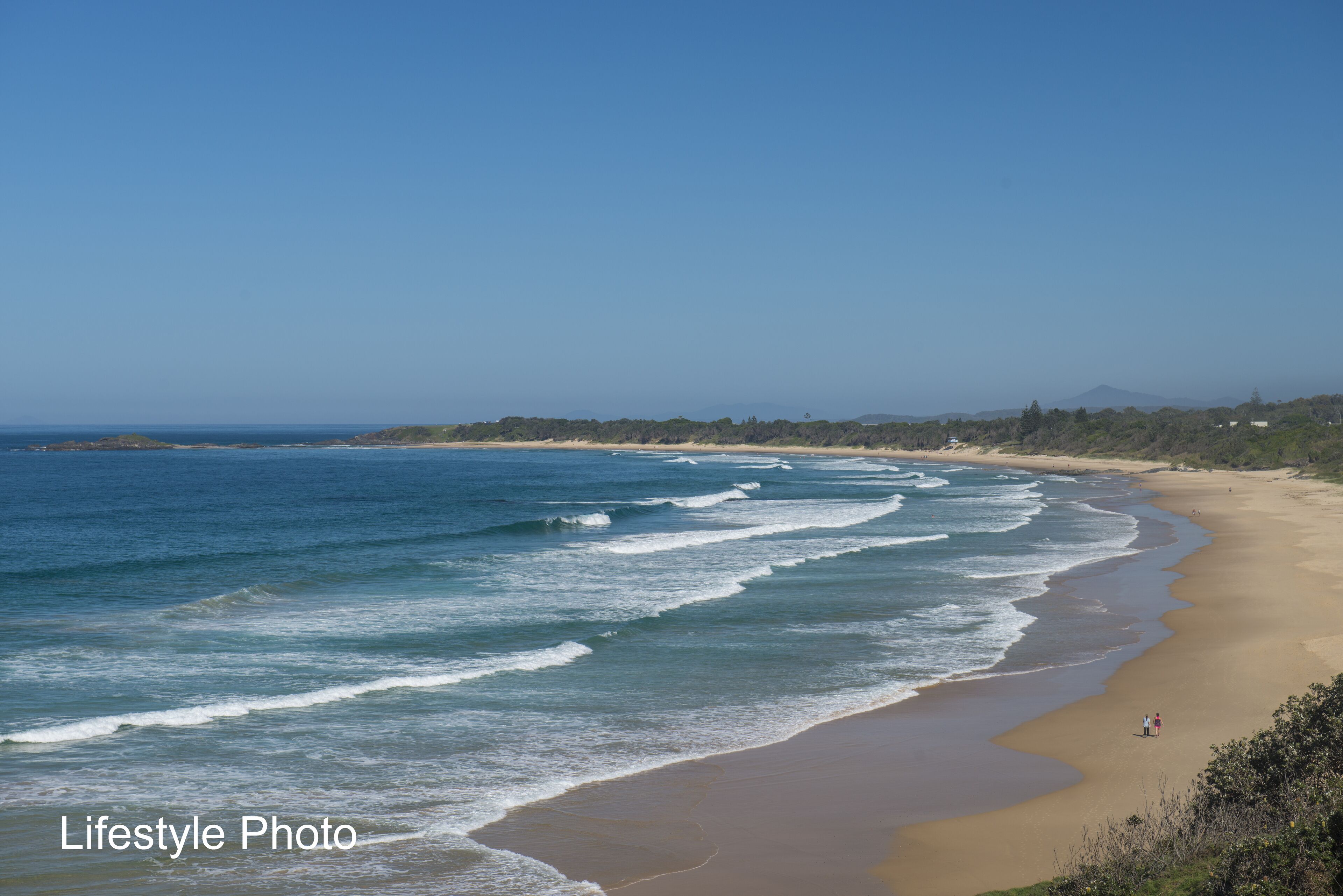 SAWTELL SUNRISE APARTMENT - beachfront, set in leafy street.