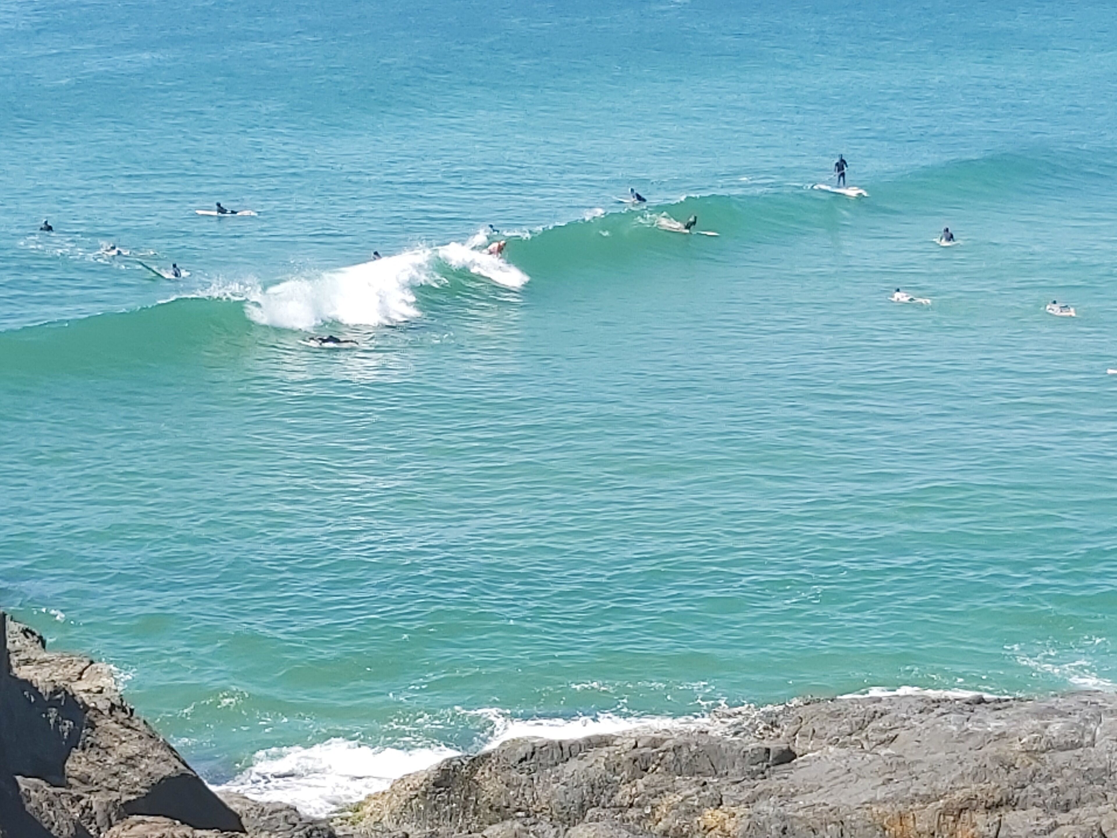 SAWTELL SUNRISE APARTMENT - beachfront, set in leafy street.