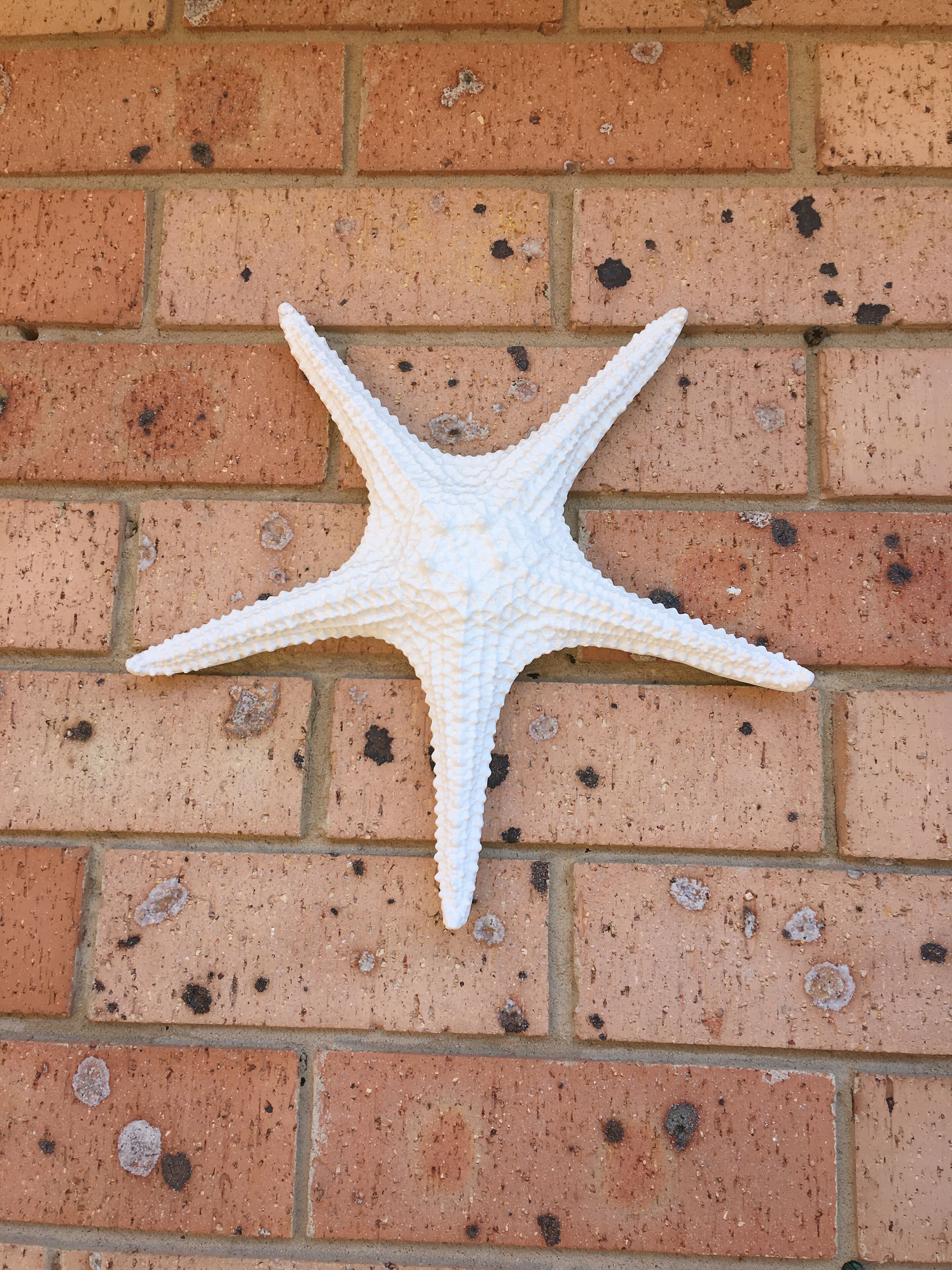 Sawtell Seaside Villas B