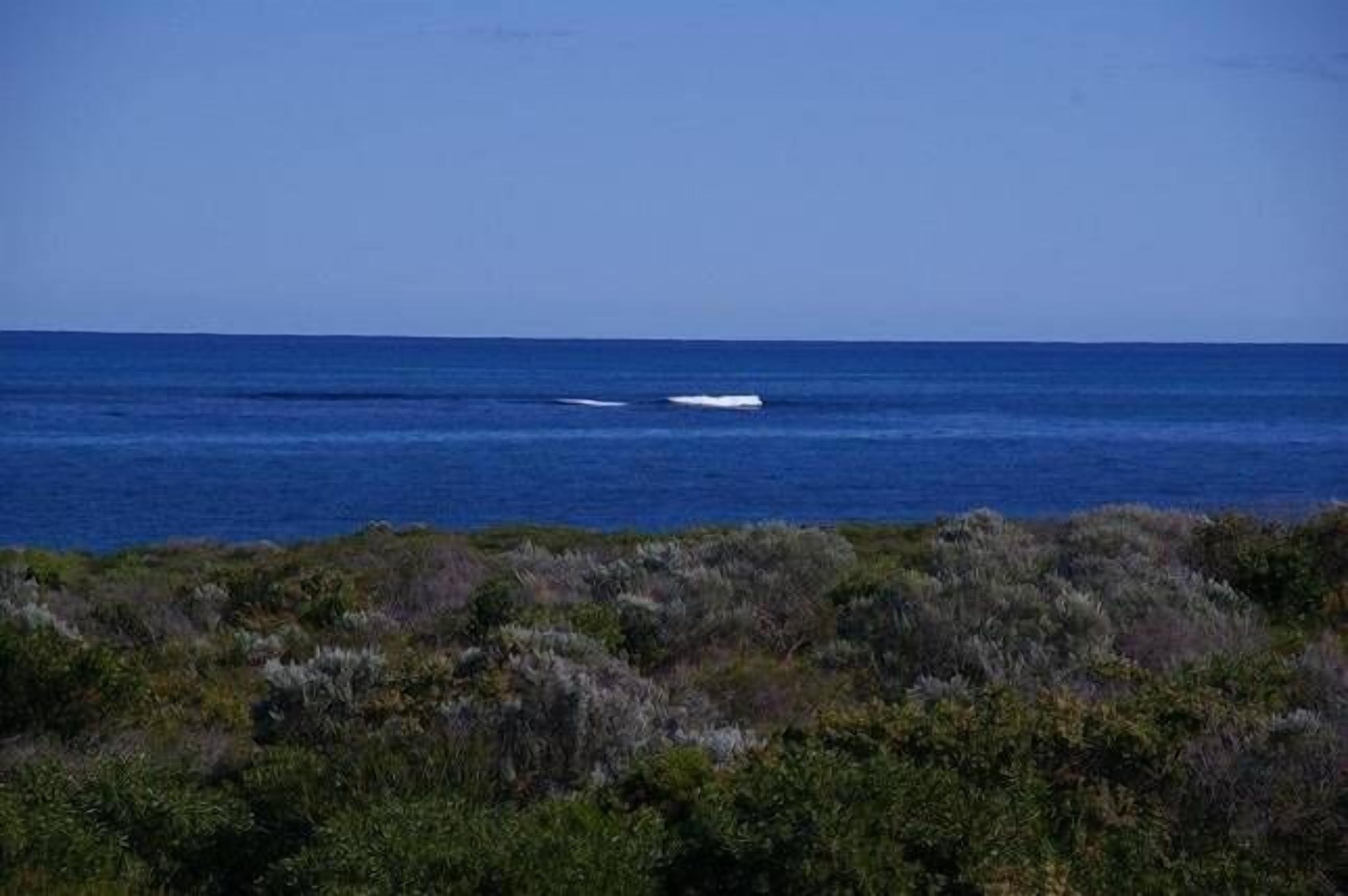 All quality linen supplied + free WiFi, Netflix, gift etc