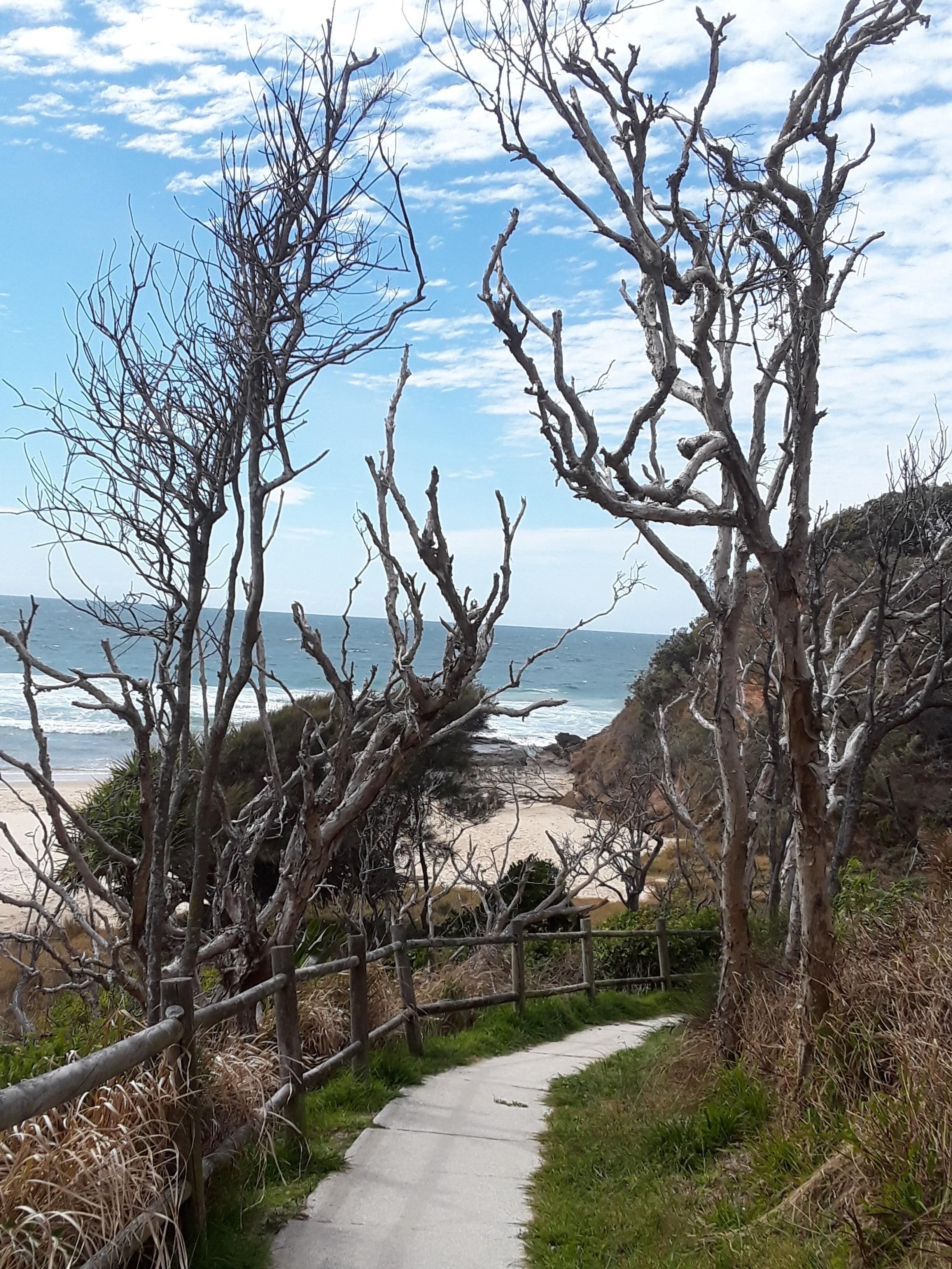 Off-Peak Specials! Ocean-view, 2 Dwellings, Unique Boutique Valla Beach!