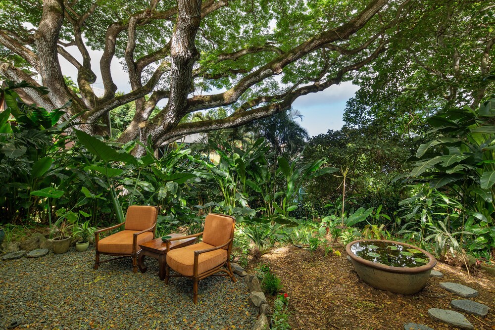 Hale Ulula Au A Peaceful Forest Retreat In Kaneohe Hotel Rates Reviews On Orbitz
