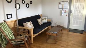 TV, DVD player, books, video library