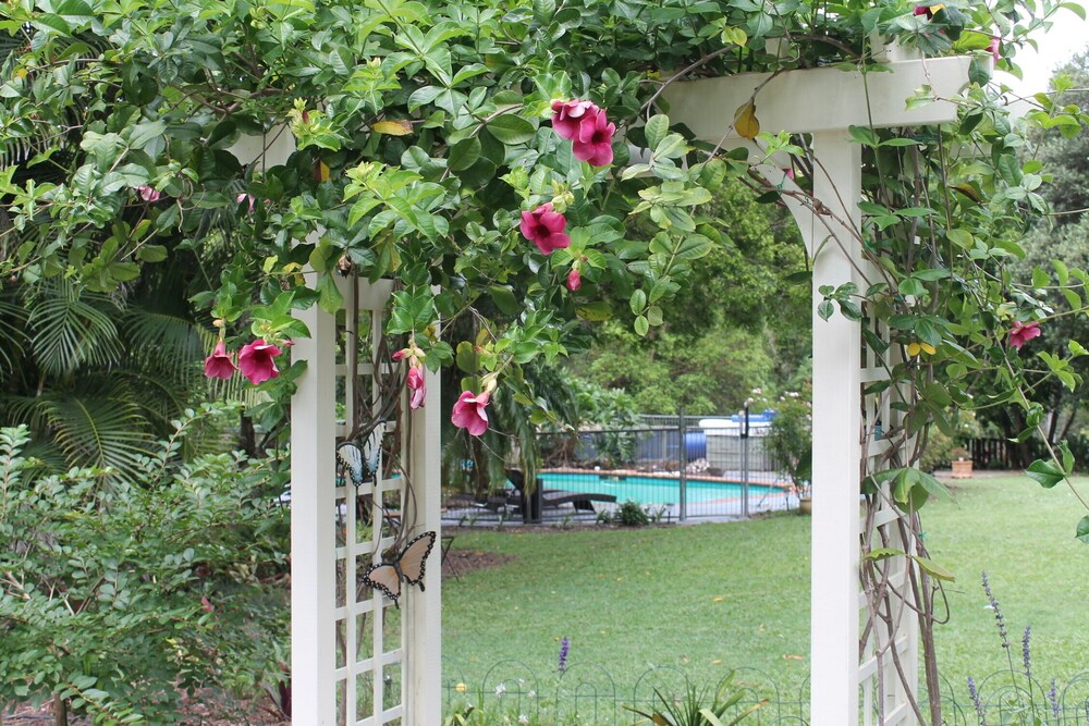 Peaceful @ West Woombye BnB