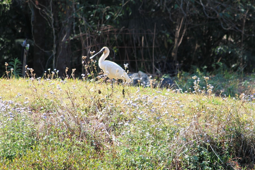 Peaceful @ West Woombye BnB