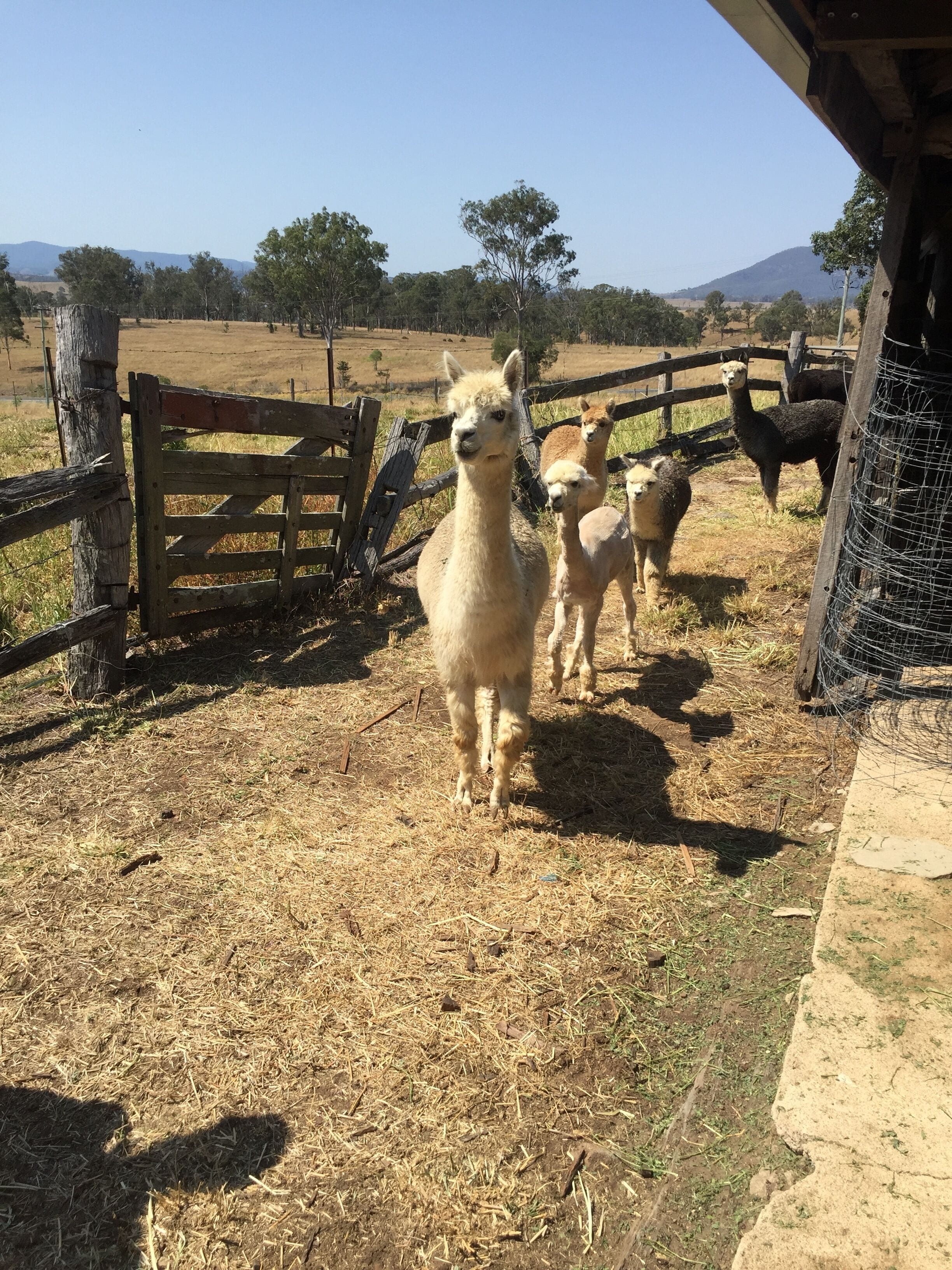 Somerset Sunset - Exclusive Use of Entire Property