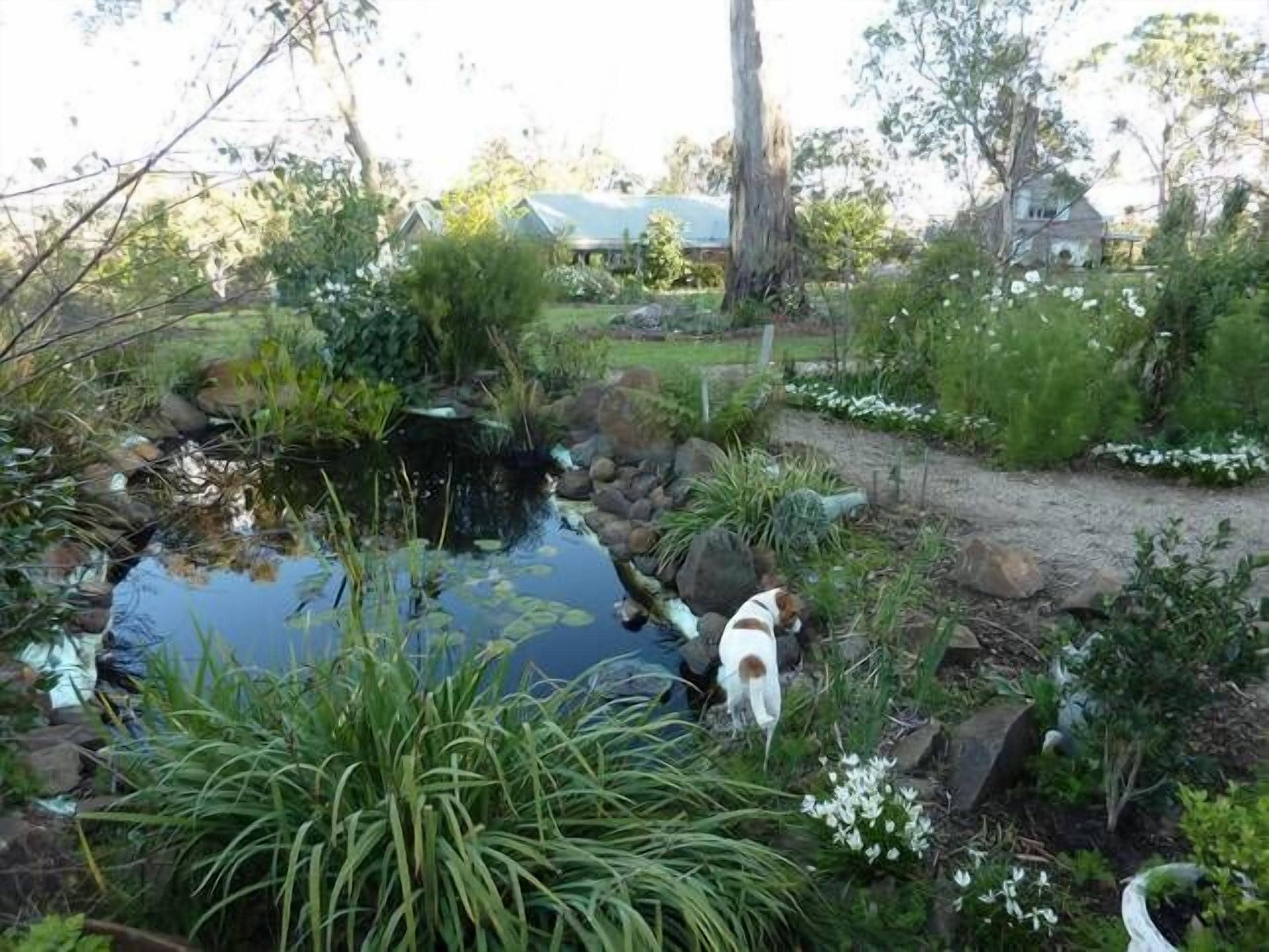 Armidale Wejalee B&B