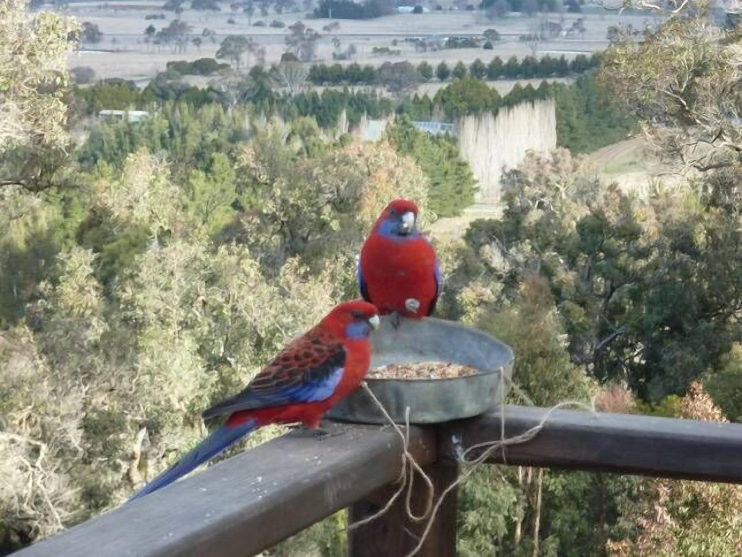 Armidale Wejalee B&B