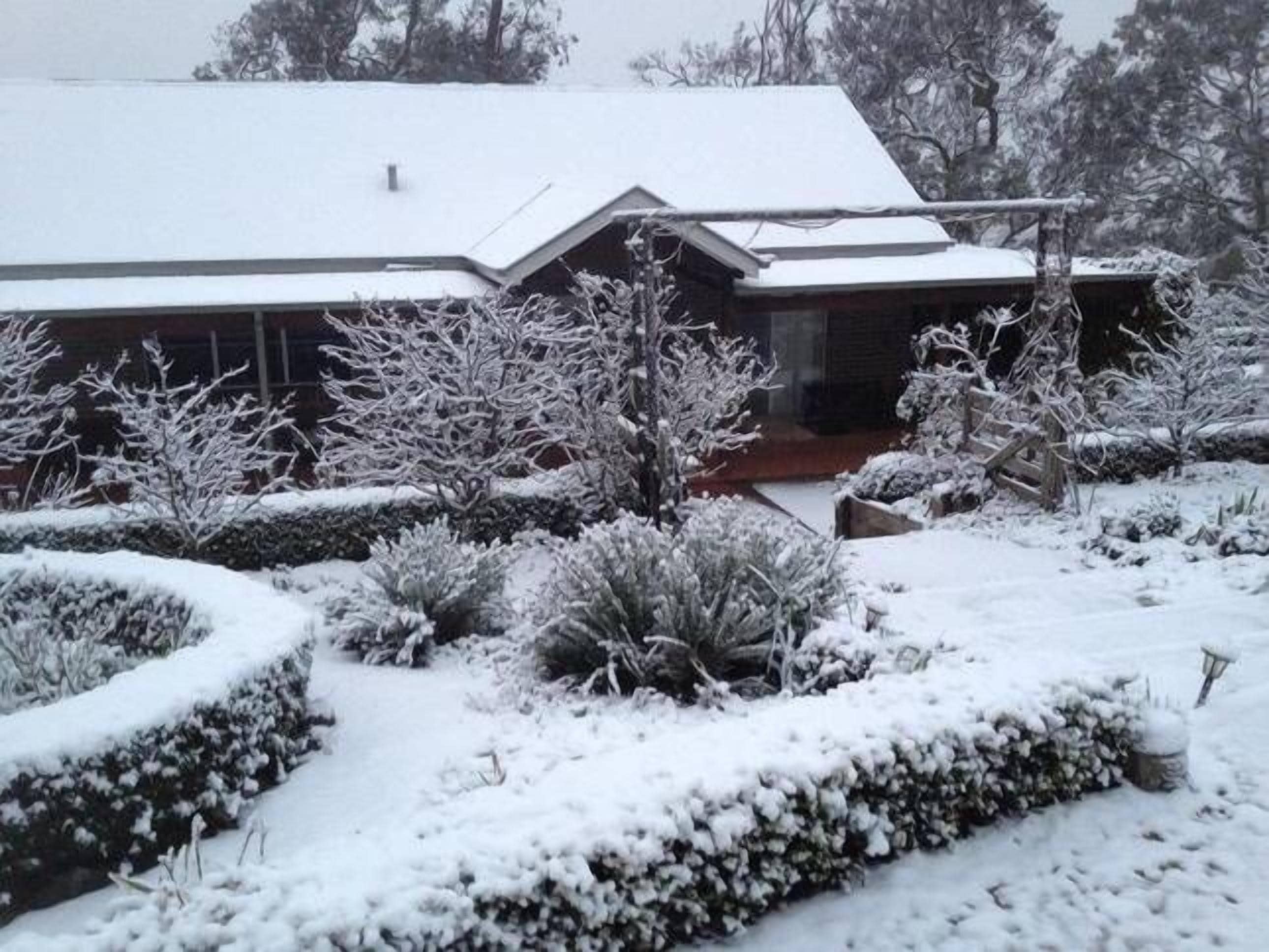 Armidale Wejalee B&B