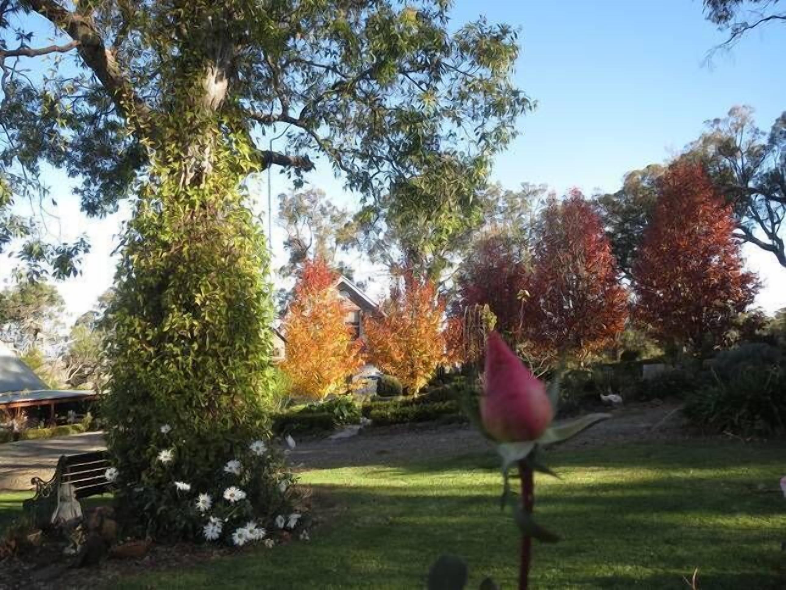 Armidale Wejalee B&B