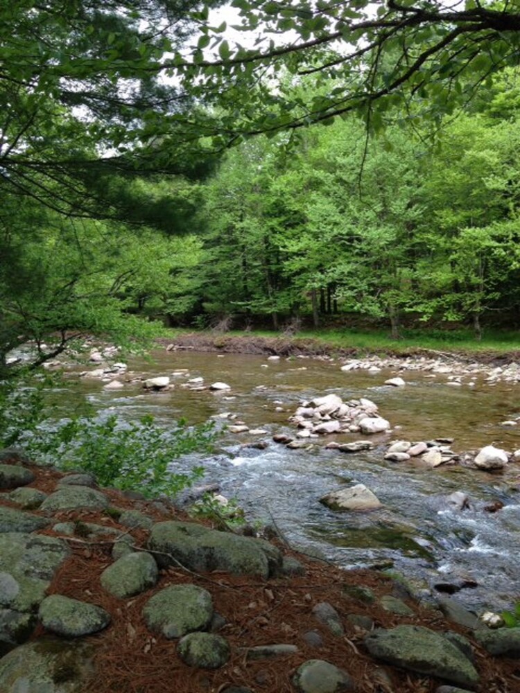 Claryville Cabin with Over 1,000 ft Trout River in the Catskill Mountains