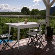 Cheap Hotels Near Montagne Des Singes Save More With