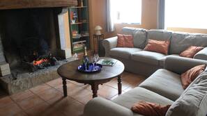 TV, fireplace, DVD player