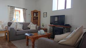 TV, fireplace, DVD player, books