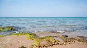 Spiaggia