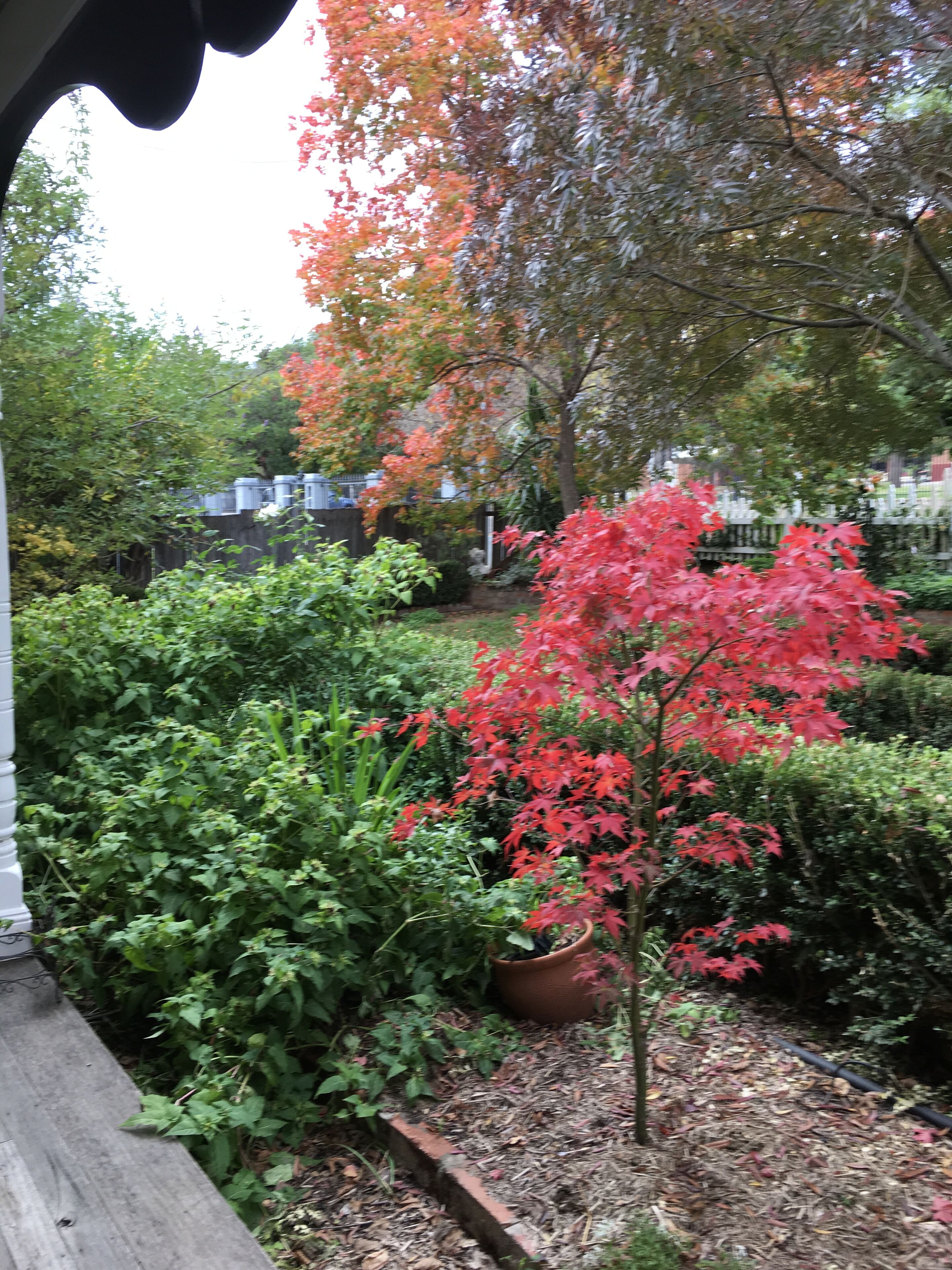 MAGNOLIA Just for you ,Pool