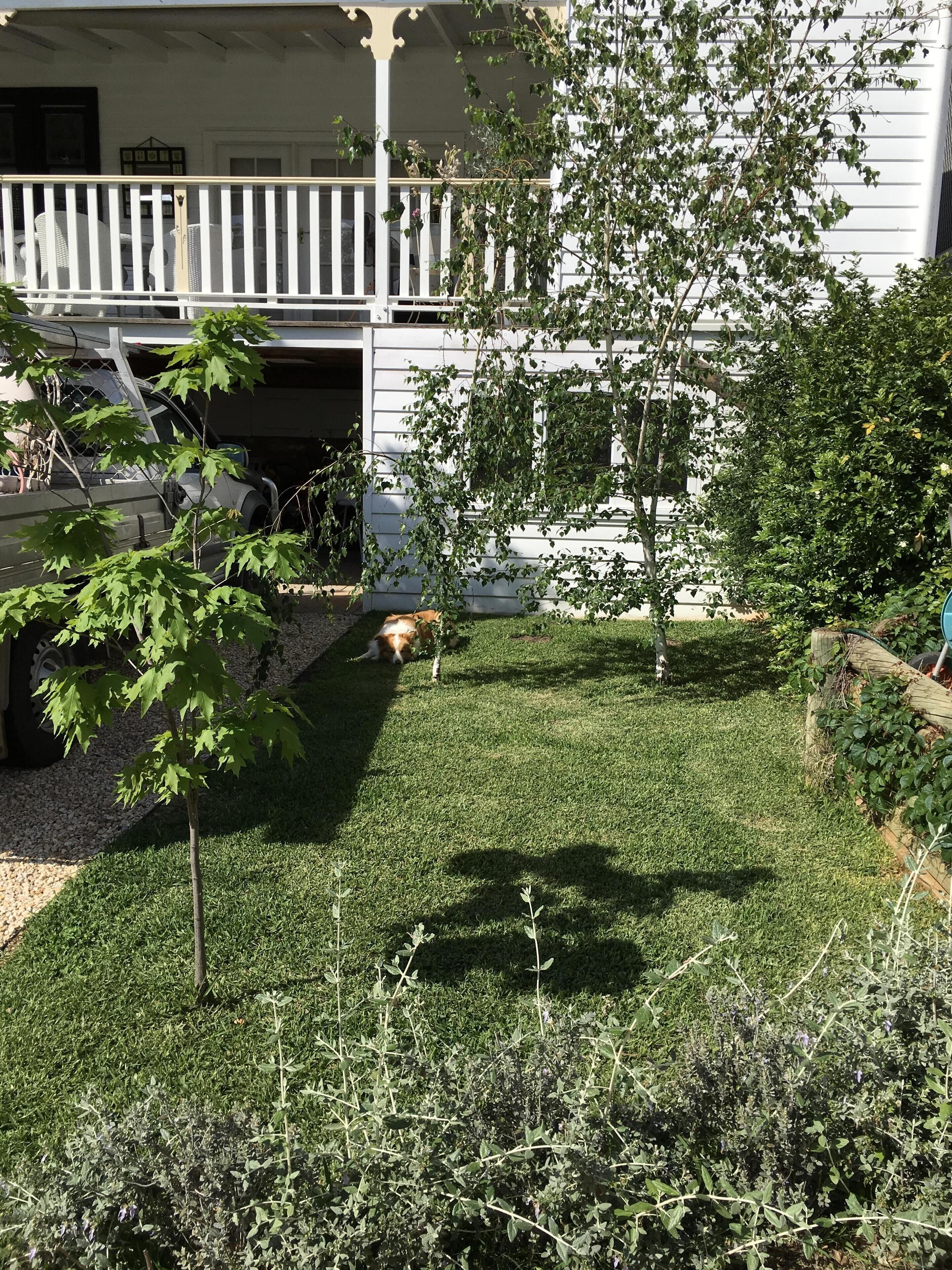 MAGNOLIA Just for you ,Pool