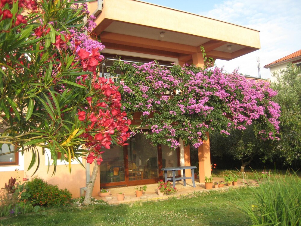 Family-friendly apartment in old fishermen village close to Zadar in Preko | Best Rates & Deals on Orbitz