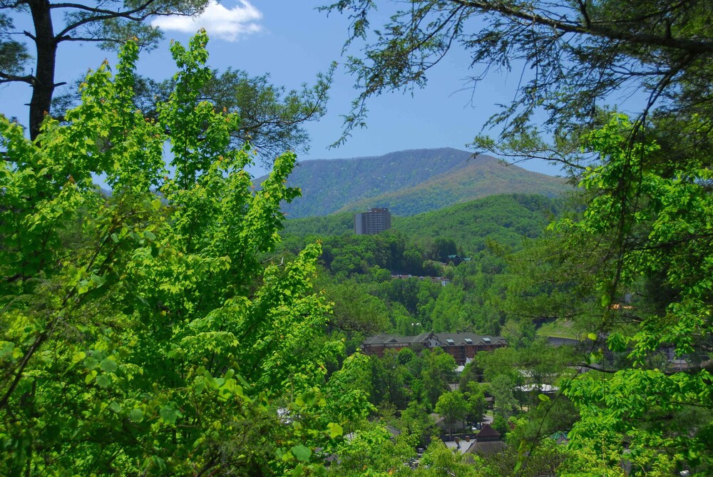 Above Gatlinburg Spectacular View Semi Secluded Spacious Cabin