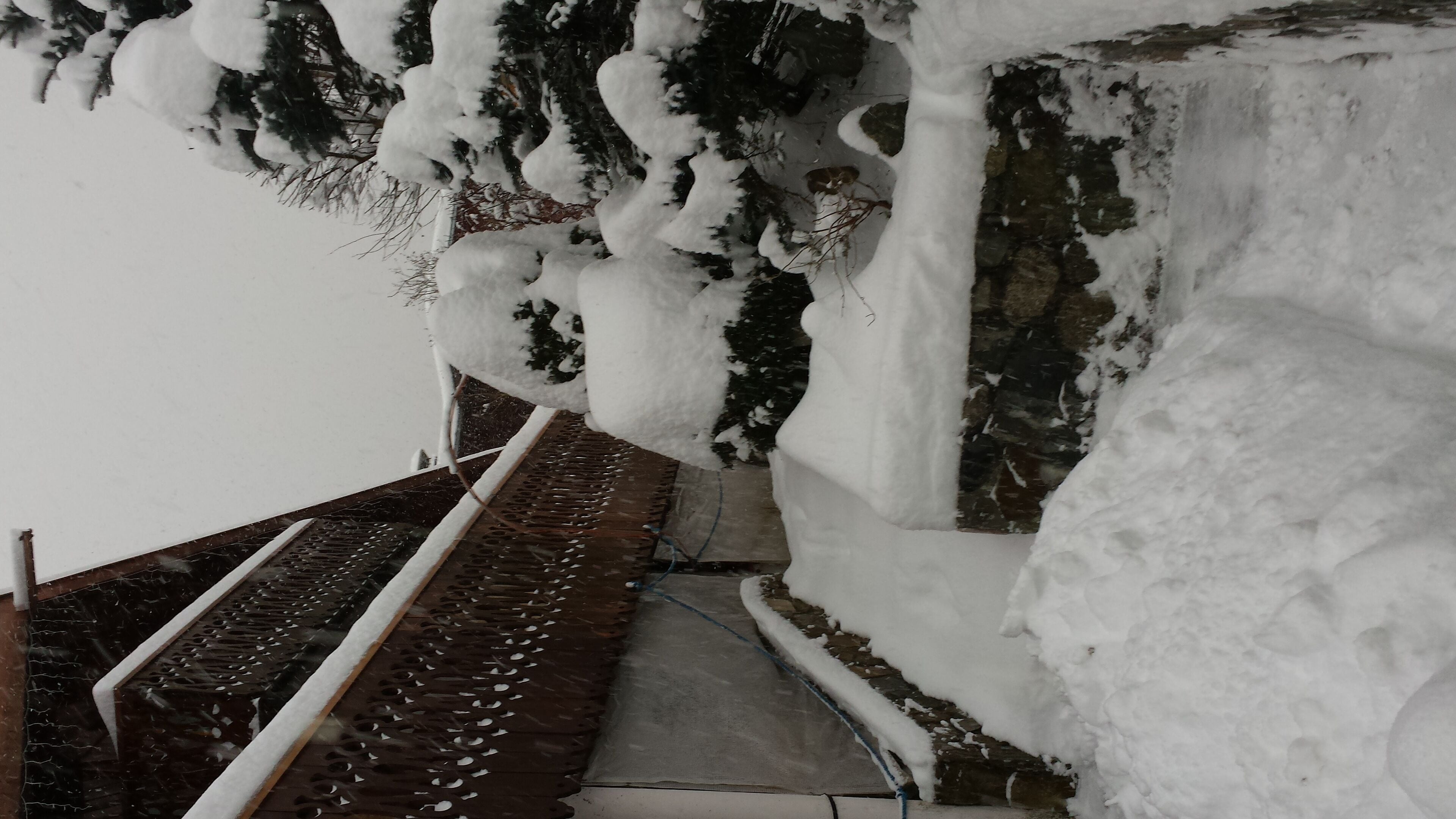 Apartment In Chamonix In Swiss Chalet. Exeptional View On The Mont Blanc in Chamonix-Mont-Blanc, France