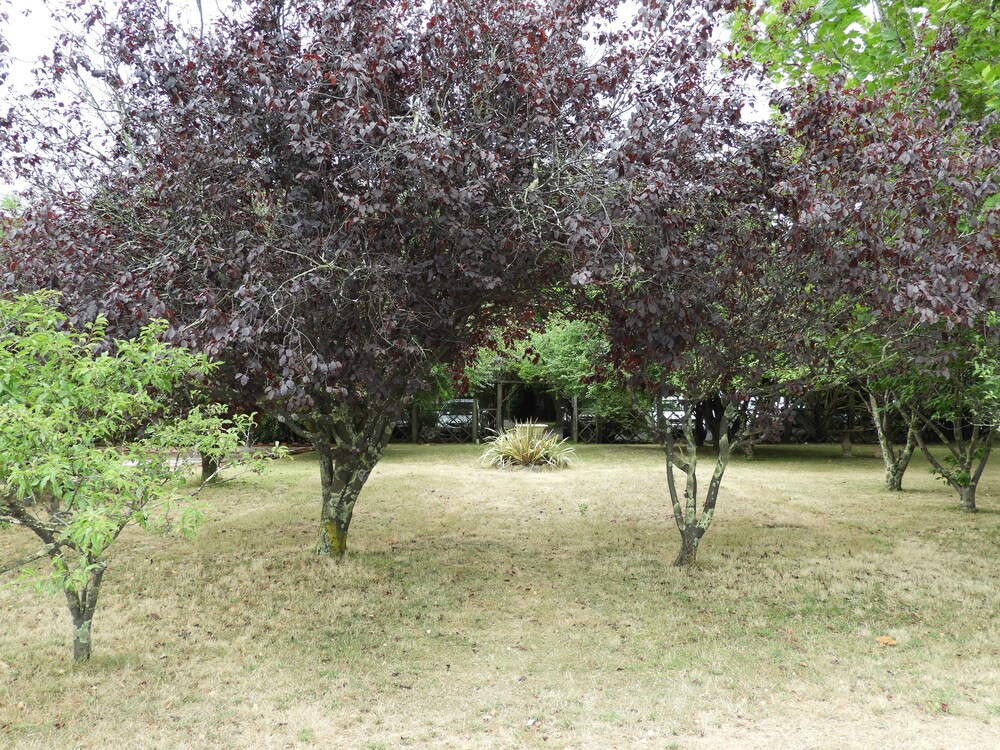 Garden, Somerset Caravan Park