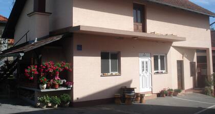 Apartments and Rooms Pavek