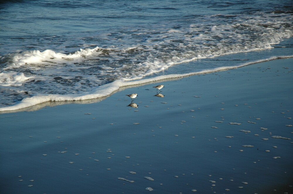 Short walk to the beach, store and cafe