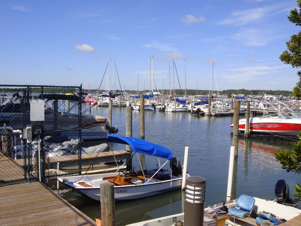 Bayside Condo in Dewey Beach, DE