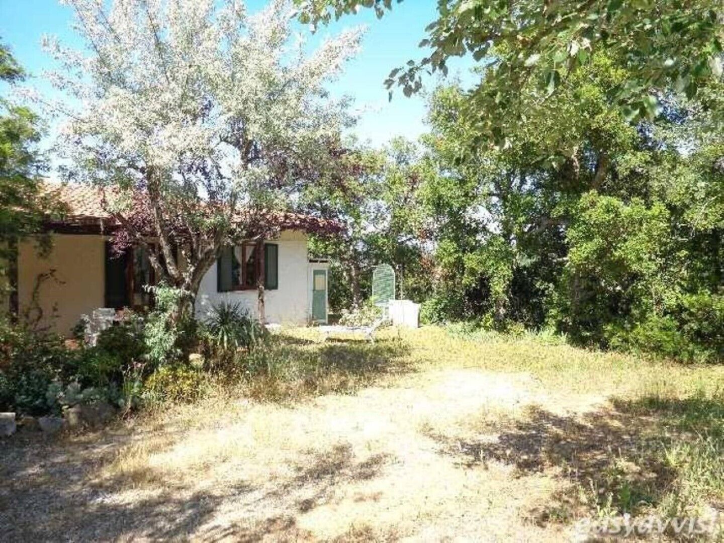 House With Garden And Terrace On Elba Island Capoliveri Hotelbewertungen 2021 Expedia At