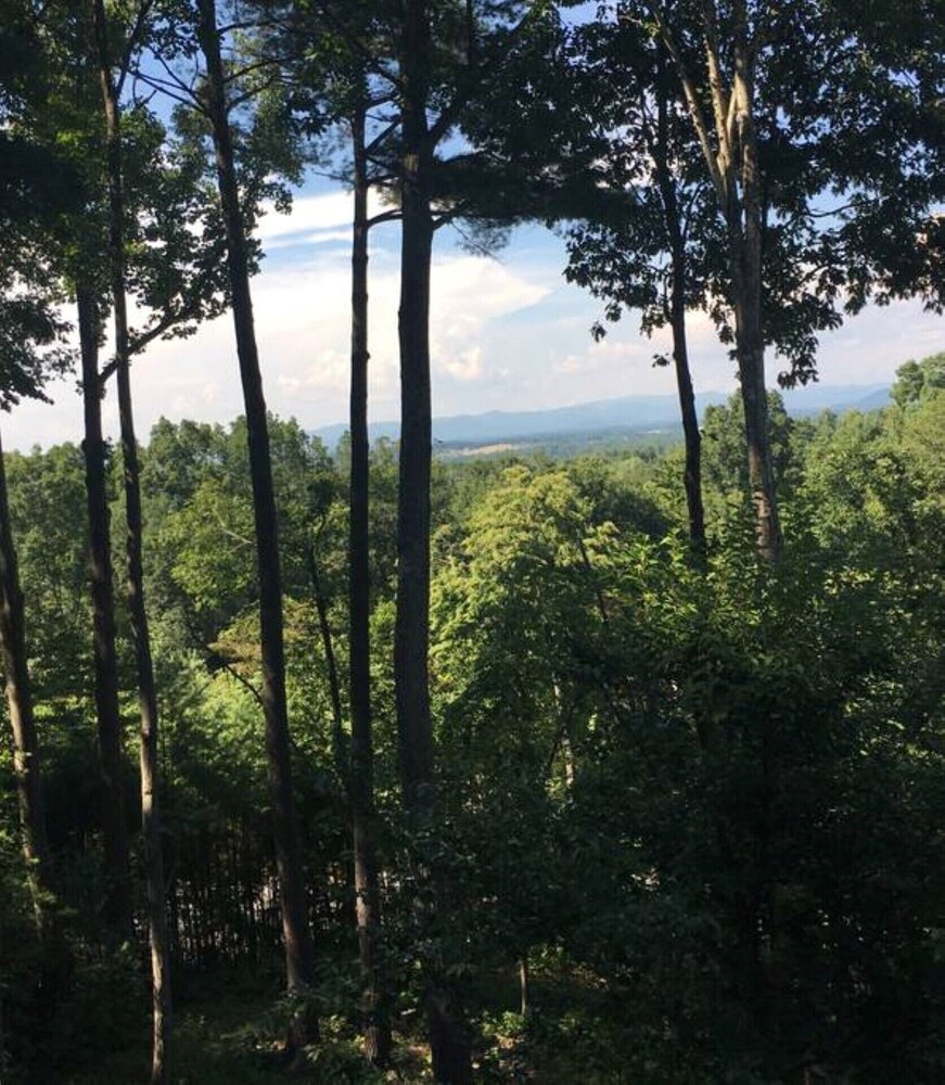 Private Treetop Asheville Home with Mtn. Views