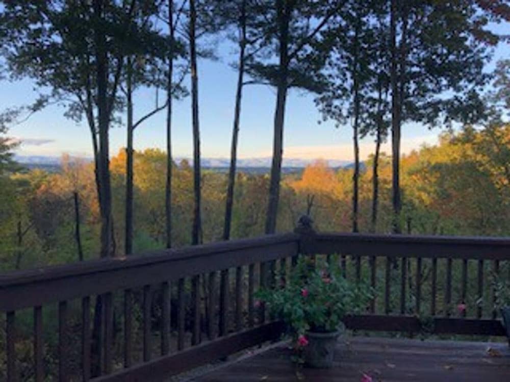 Private Treetop Asheville Home with Mtn. Views