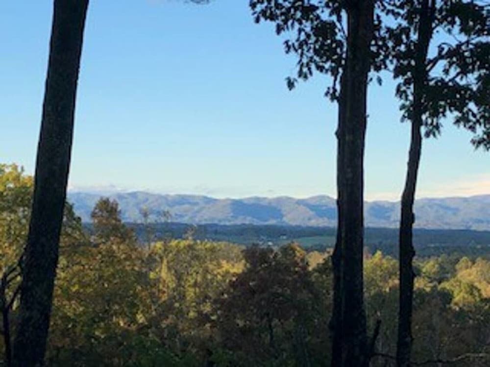 Private Treetop Asheville Home with Mtn. Views