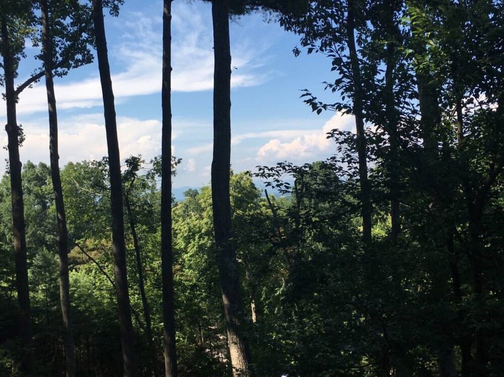 Private Treetop Asheville Home with Mtn. Views