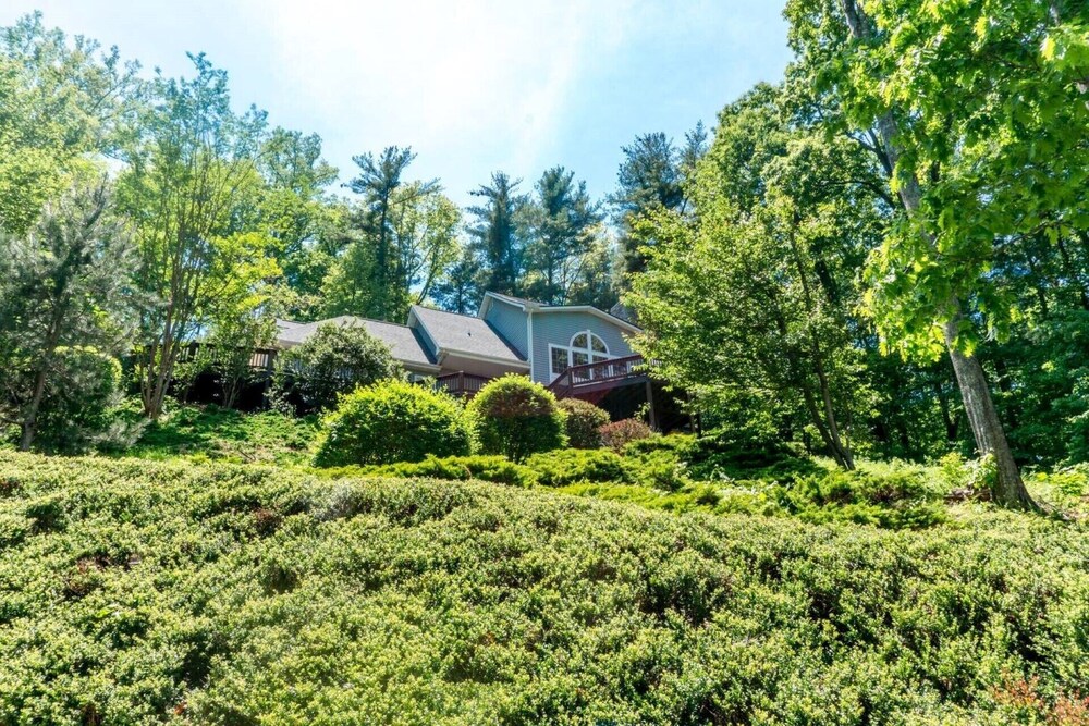 Private Treetop Asheville Home with Mtn. Views