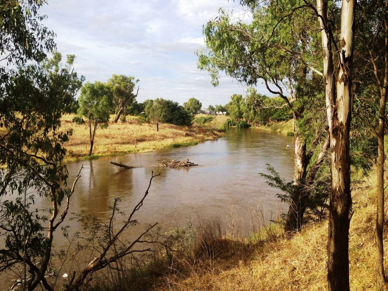 Historic Ranelagh House on acres in town 2 km CBD available for short term stay