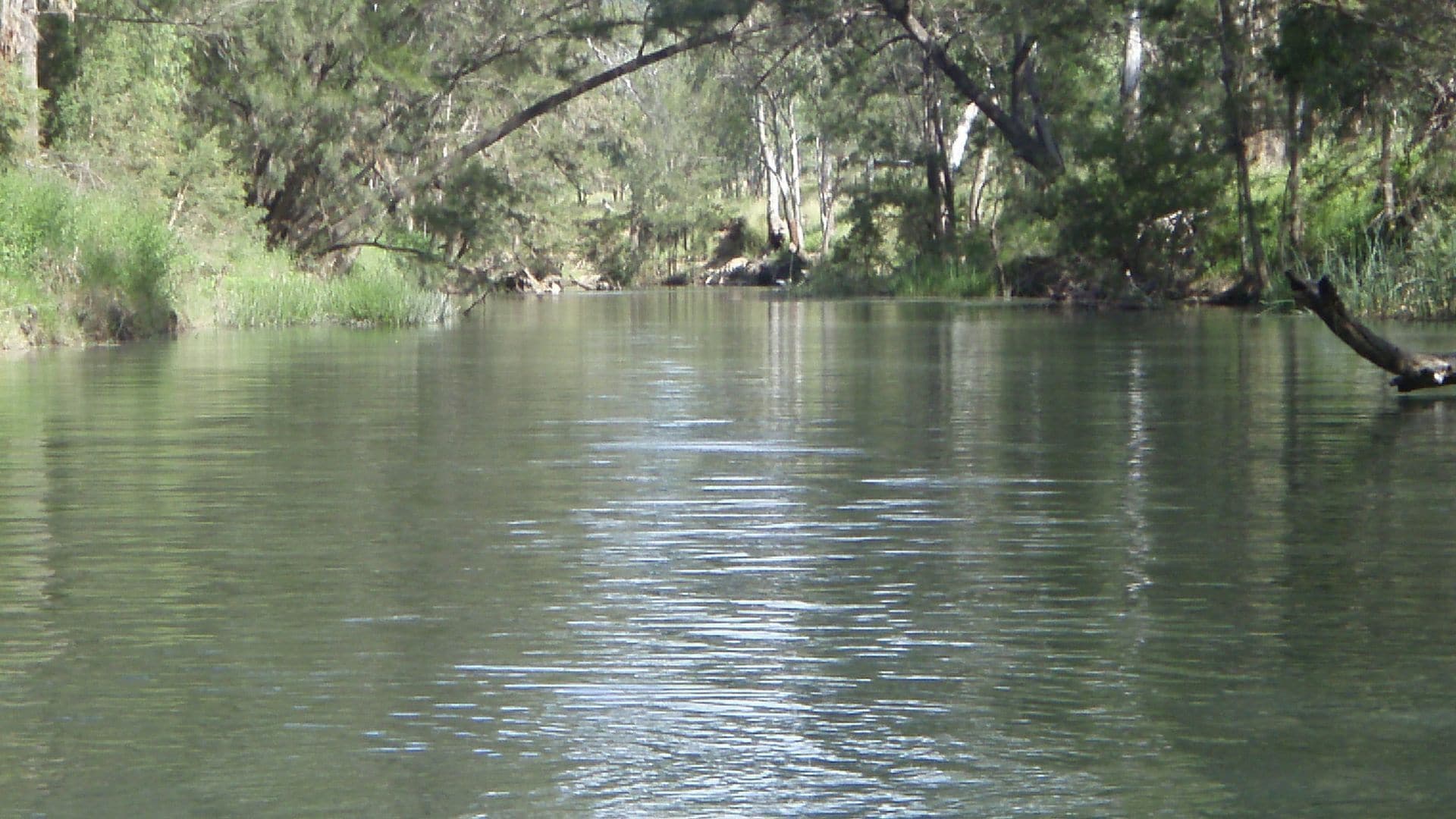 Coolmunda Springs - We had rain!