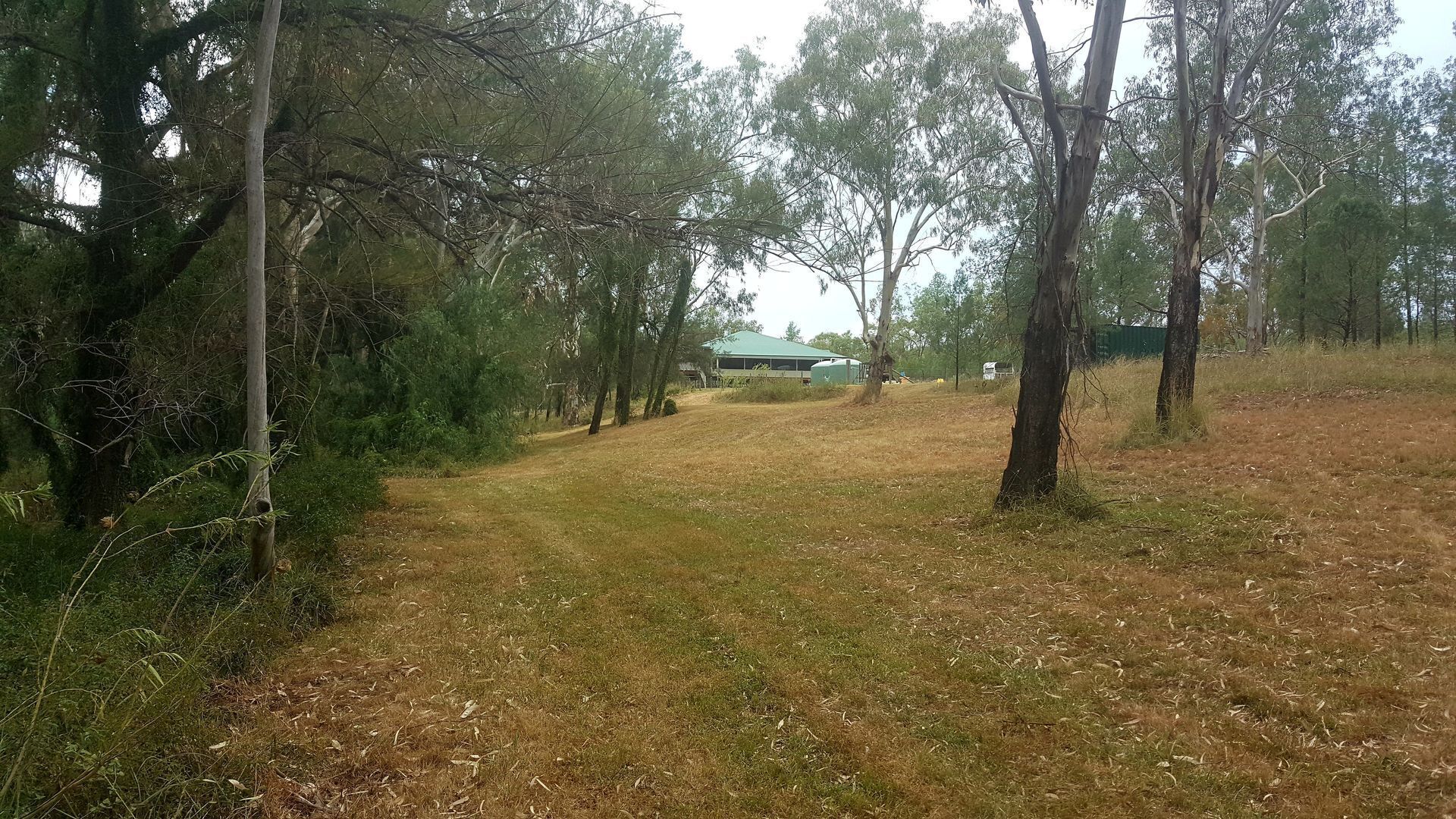 Coolmunda Springs - We had rain!