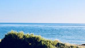 Plage, chaises longues