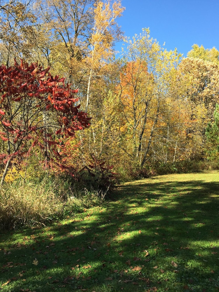 Kettle River Cabin nestled between the Twin Cities & Duluth, MN in