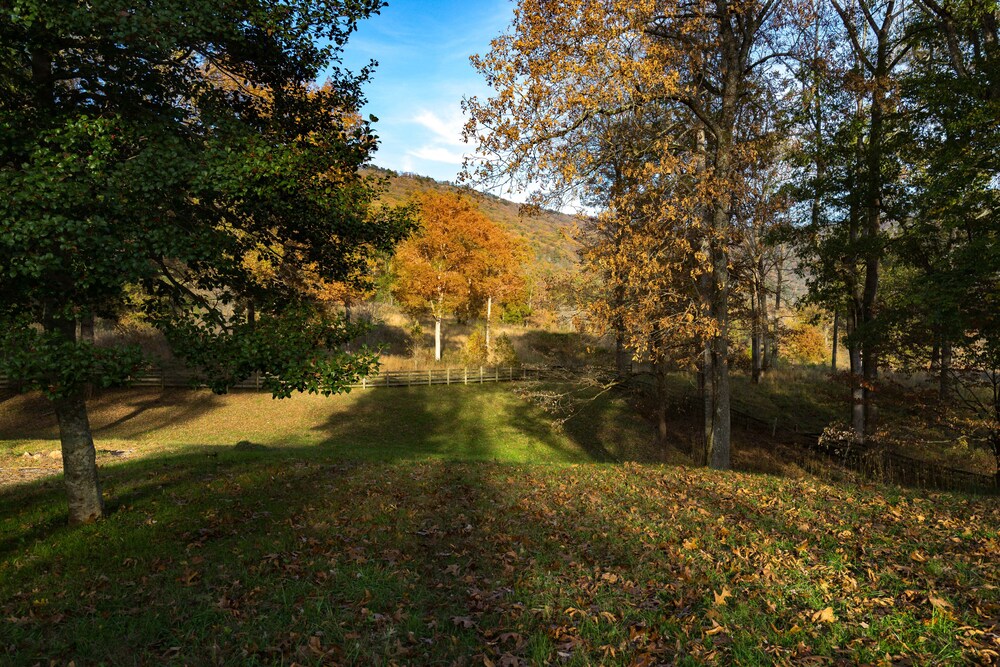 Blue Lake Cozy Cabin, situated on 3 acres, 5 min walk to lake! Mountain views!