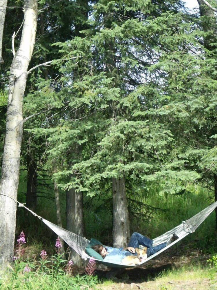 Kasilof Log Accent Bed & Breakfast with Mountain View Deals & Reviews