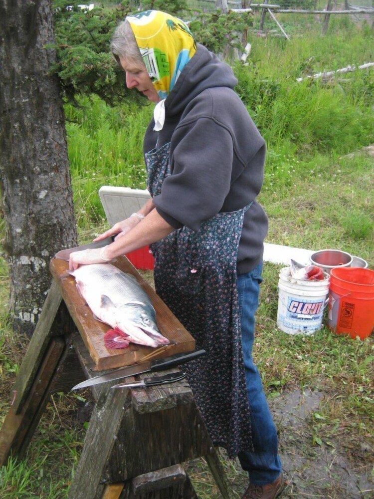 Kasilof Log Accent Bed & Breakfast with Mountain View Deals & Reviews