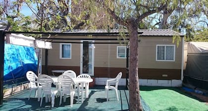 Camping Florida