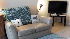 Flat-screen TV, iPod docking station