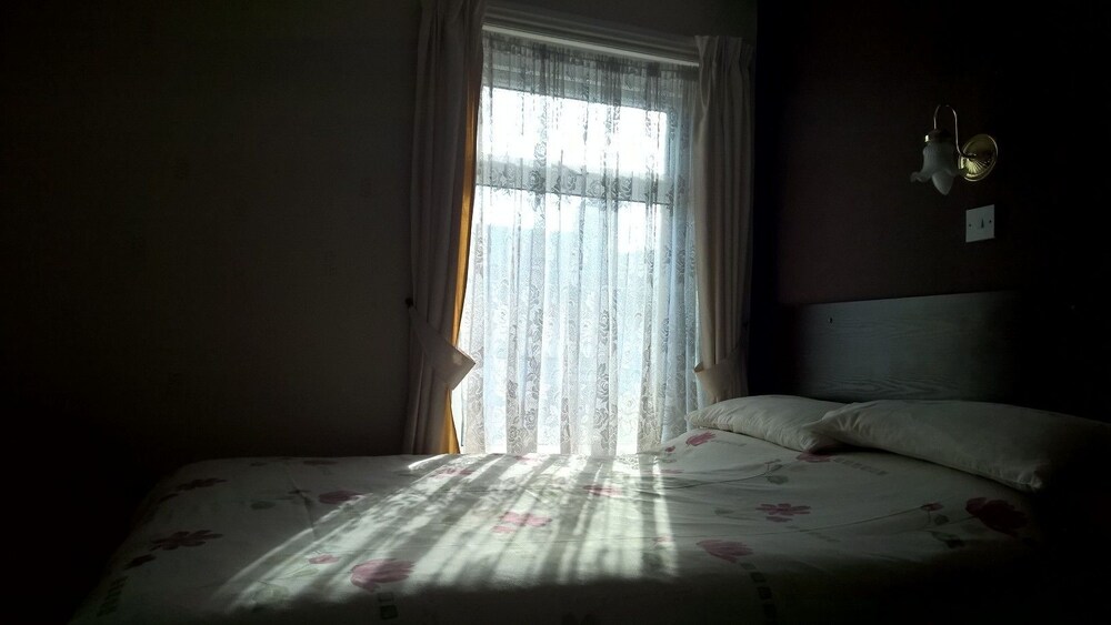 Albion Hotel Reviews, Photos & Rates