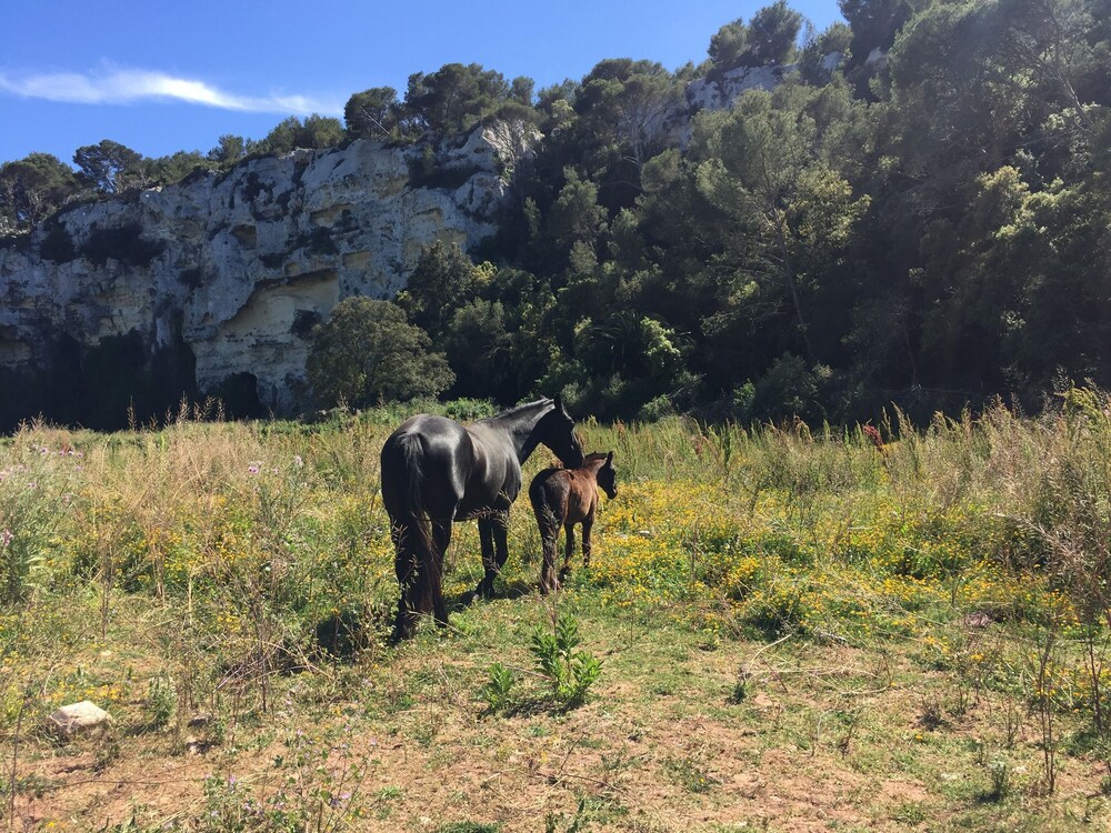 Foto - Minura Cala Galdana & Apartamentos d'Aljandar